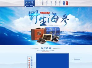 海參海鮮PSD設(shè)計(jì)素材 提升天貓?zhí)詫氻?yè)面視覺層次的專業(yè)工具