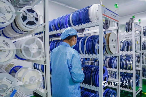 走進廈門高企 產品覆蓋國內3000多萬用戶，這家公司是行業領頭羊——深耕國內貿易代理的獨角獸