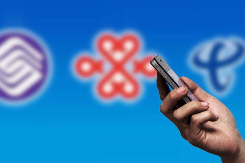 頭條 中國日?qǐng)?bào)網(wǎng)