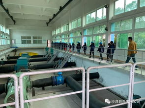 沙洋中小學(xué)生走進(jìn)自來水廠 體驗生產(chǎn)流程 樹立節(jié)水意識